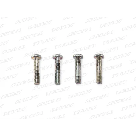 R0273 - SLIM HEAD SCREW M3x14mm (SILVER/4pcs)